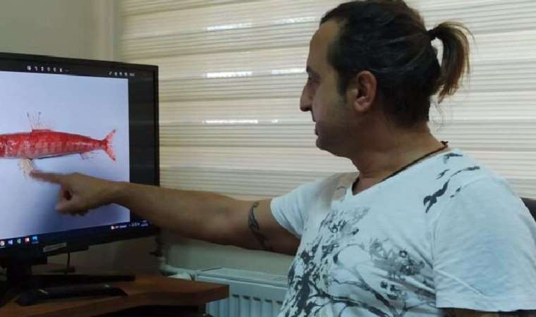 Akdeniz'de ilk kez görüldü! Ege'ye kadar yayılabilir...