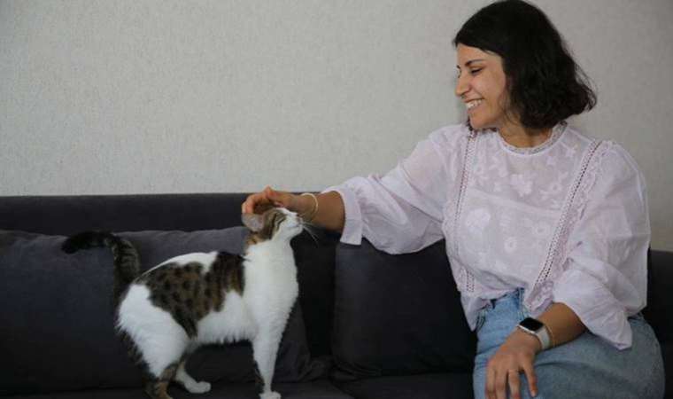 Diyarbakırlı öğretmen sahiplendiği 3'ü engelli 8 kediye şefkatle bakıyor