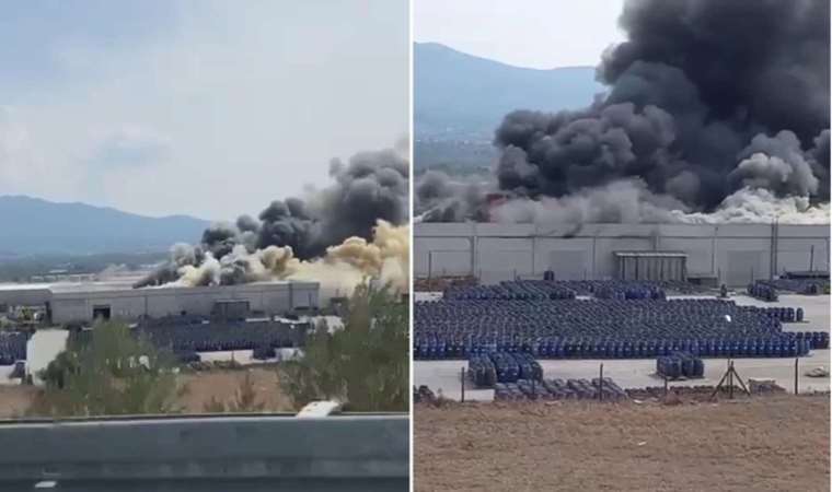 Palet fabrikasındaki yangın kontrol altına alındı: Çıkış sebebi araştırılıyor