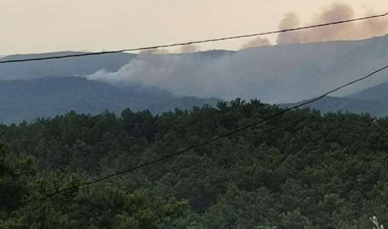 Marmaris'te yangın... Bölgeye karadan ulaşılamıyor!