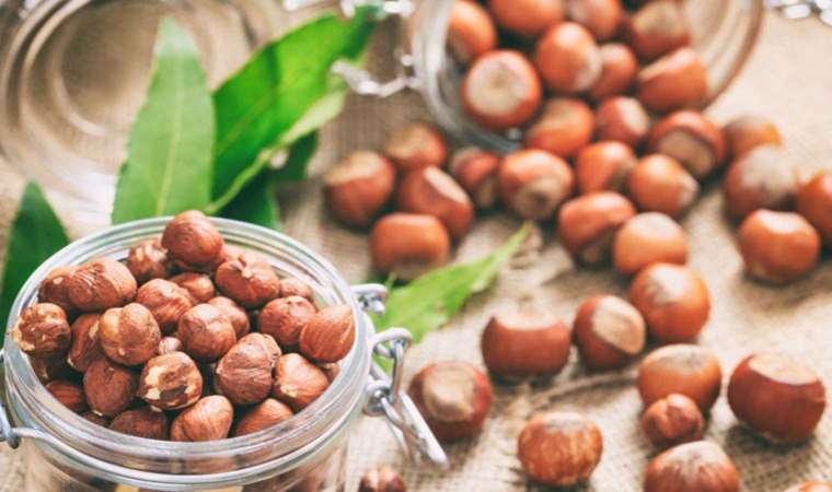 Fındık çeşitleri nelerdir? Neden fındık tüketmeliyiz?