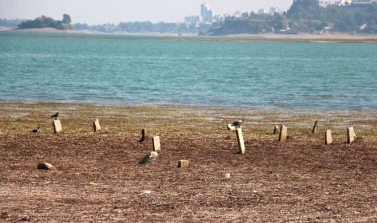Gölün suyu çekildi, 153 yıllık mezarlık ortaya çıktı