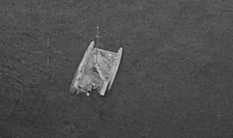 Açık denizde köpekbalıkları saldırdı