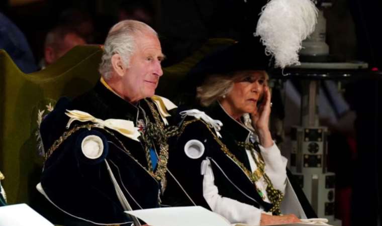 Who will succeed King Charles on the British throne?