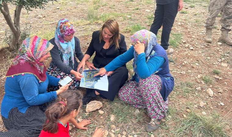 İskenderunlu yurttaşların zeytinlik isyanı: TOKİ konut yerini değiştirsin