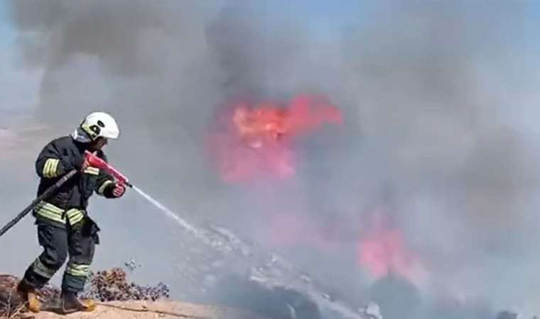 Gaziantep'te orman yangını: Yerleşim yerlerine varmadan kontrol altına alındı