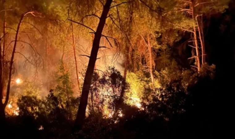 Adana İmamoğlu'nda 3 gün arayla ikinci orman yangını!