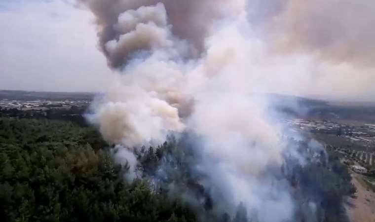 İzmir'de çıkan orman yangını kontrol altına alındı (09 Eylül 2023)