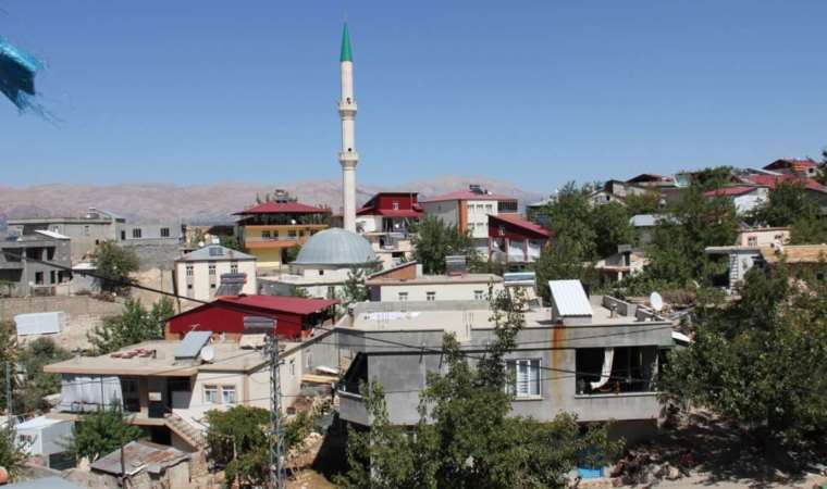 Sahibini ısıran at kuduz çıktı... Köy 6 ay süreyle karantinaya alındı!
