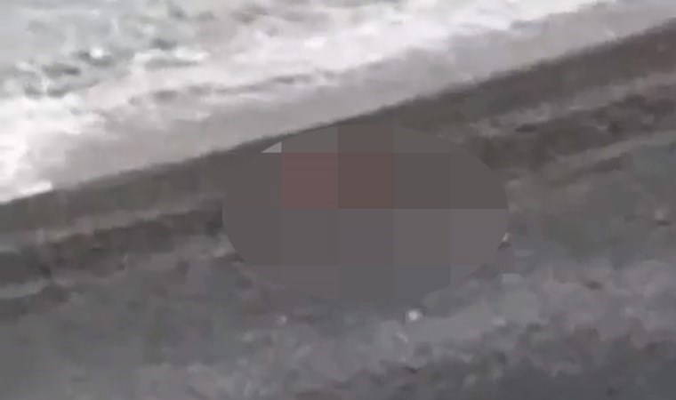 Zonguldak’taki plajda cinsel ilişki görüntülerine inceleme