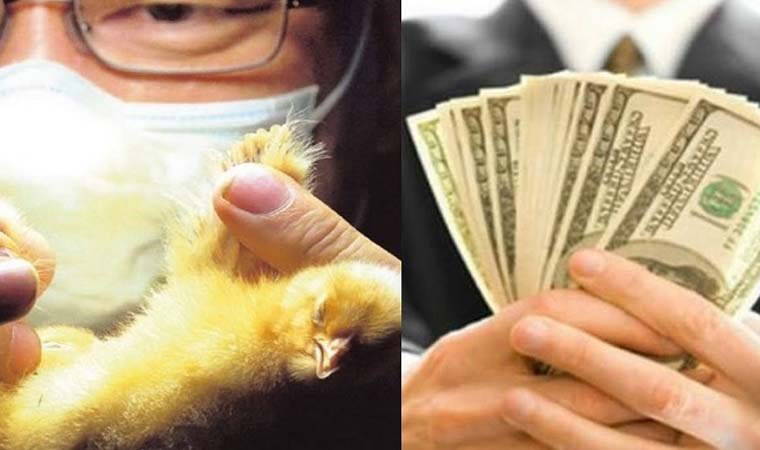 Bu meslekler ağzınızı açık bırakacak! Çok az kişinin yaptığı dünyanın en tufah 10 mesleği...