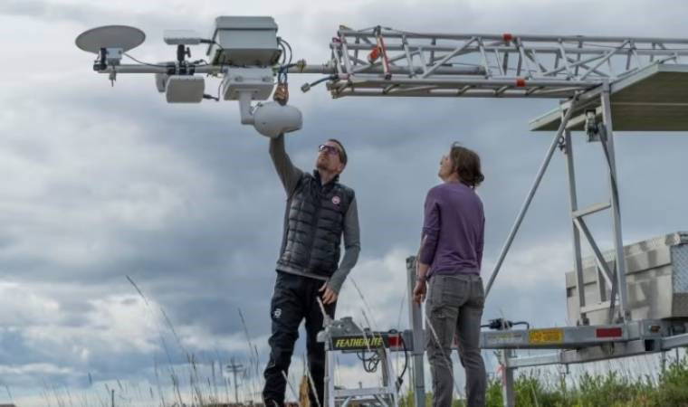 Bir ayının romanı