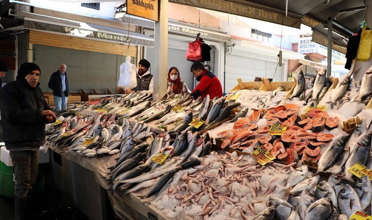 Sardalya, hamsi, çipura... Fırtına sonrası balık bollaştı