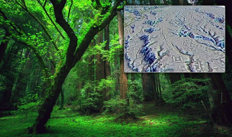 Amazon'un derinliklerinde 'karmaşık bir yapı ağı' ortaya çıkarıldı