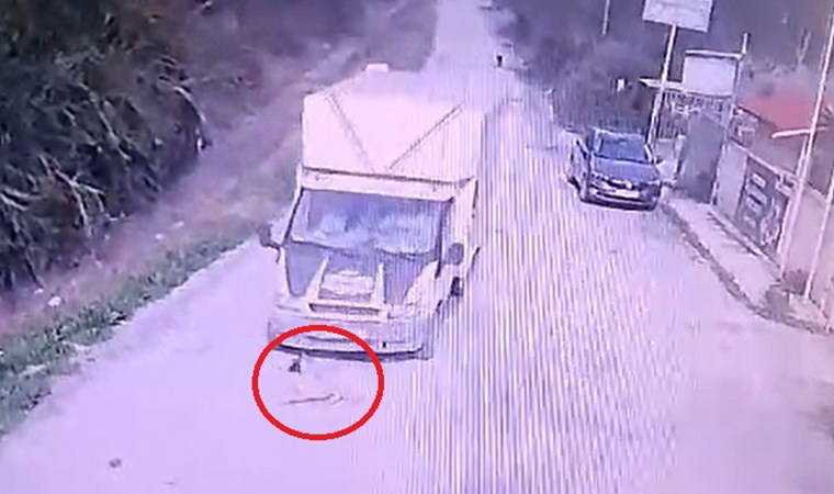 Mersin'de kamyonet, köpek 'Mutlu'ya çarptı: 'Bağırmalara rağmen durmadı!'