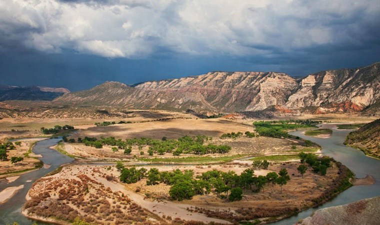 'Her yıl 60 bin kişiye lisans veriliyor...'