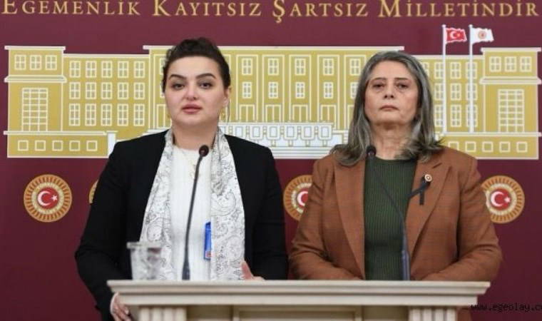 CHP'li Sibel Suiçmez, SMA hastalığına dikkat çekti