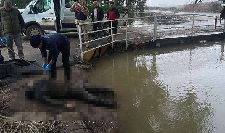 Hatay'da sulama kanalında erkek cesedi bulundu