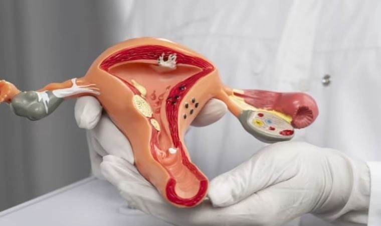 Son günlerde çok konuşulan HPV aşısı, rahim ağzı kanserinden koruyor