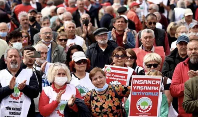 Piliç değil bilinç! 1