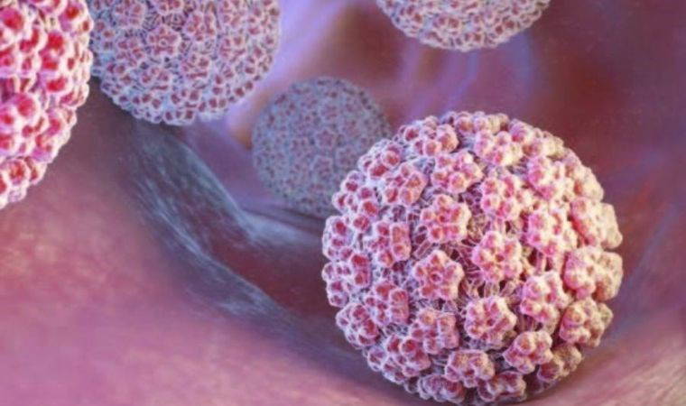 HPV aşısı, kişiyi HPV virüsünün neden olduğu hastalıklardan korur