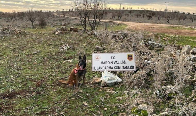 Mardin'de yola tuzaklanan EYP imha edildi