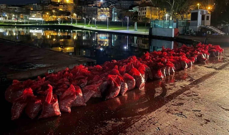 Üsküdar’da 6 ton kaçak midye ele geçirildi