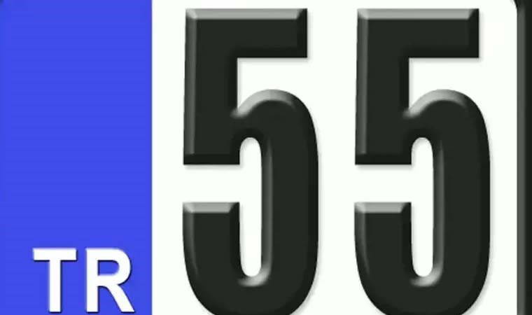 55 nerenin plakası? 55 plaka kodu hangi şehre ait?