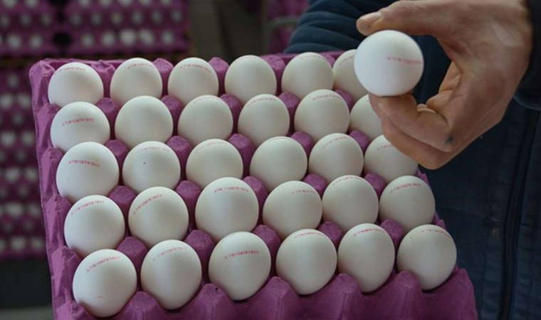 Rusya, Türkiye'den 1,5 milyon adet yumurta ithal etti
