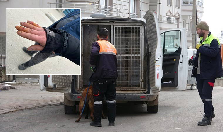Köpek, anne ve çocuklarına dehşeti yaşattı: Dört yaralı