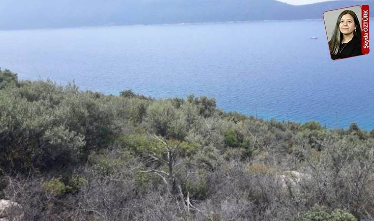 Otel uğruna doğa talanı