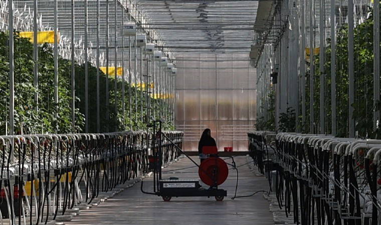 Sivas'ta çöpten elde edilen enerjiyle üretiliyor, Avrupa ülkelerine gönderiliyor!