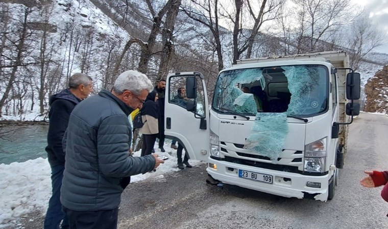 Dağdan kopan kaya kamyonetin camına girdi: 1 ölü