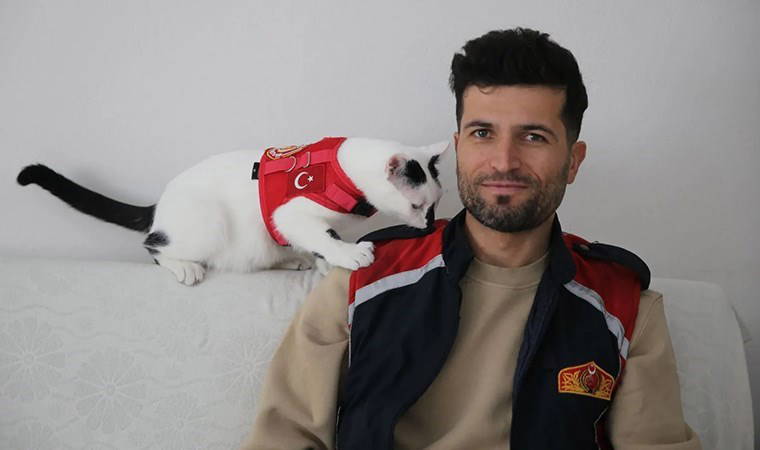 Yıkıntıların arasından hayata tutunmuştu: Kedi 'Enkaz' büyüdü