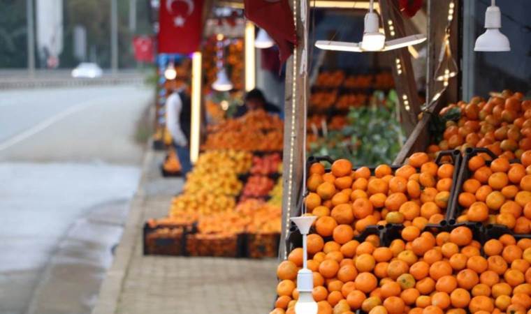 Derepazarı'nda hasat bitti: Kilosu 15 TL...
