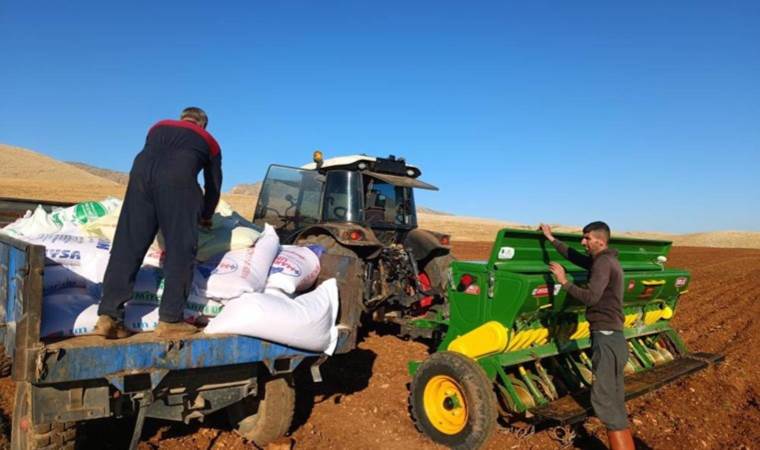 Mardin Ovası'nda ekim başladı: 500 kilo rekolte bekleniyor
