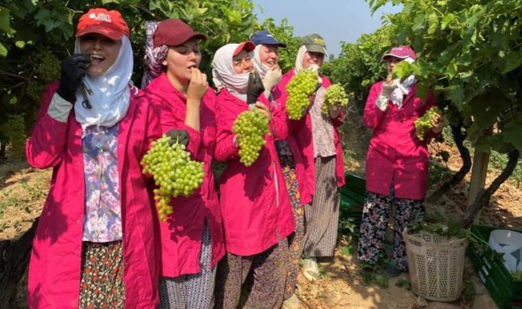 Alaşehir'de 30 bin ton tarımsal ürün 80 ülkeye ihraç edildi...
