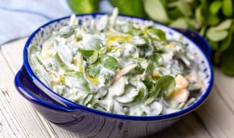 Hafif ve bir o kadar da lezzetli: Yoğurtlu semizotu salatası...