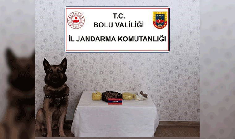 Bebek maması kutusunda uyuşturucu ele geçirildi