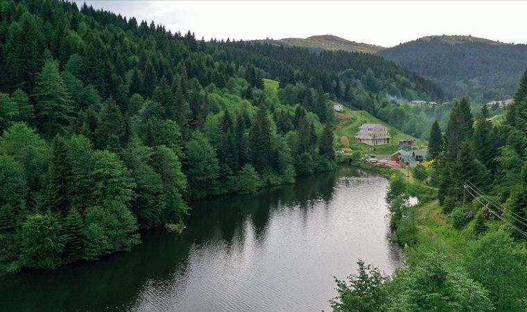 Karadeniz'de fiyatları şaşırtıyor: Yılbaşından bu yana fiyatlar yükseldi