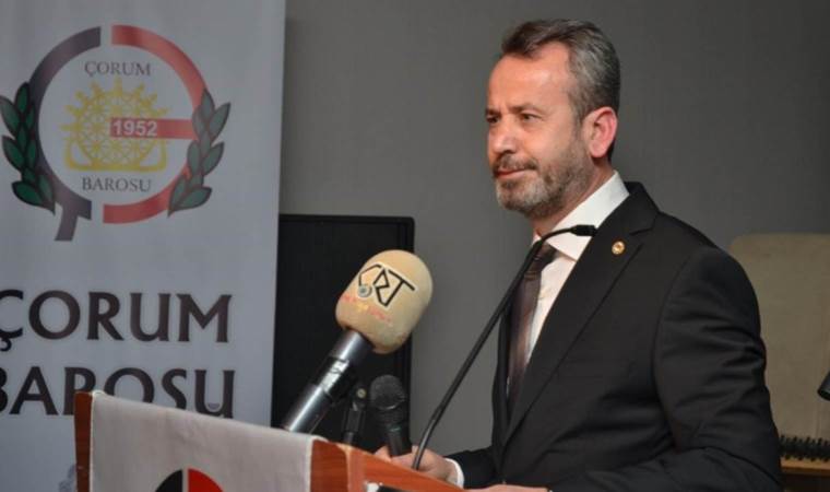 AYM üyesinden imalı paylaşımlar: 'Karıncalar fili çok kıskanır...'