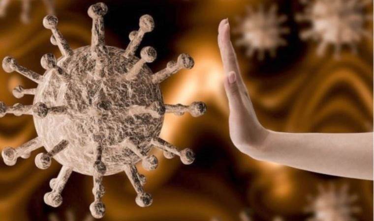 Türk bilim insanlarından koronavirüse karşı hazırlanacak ilaç için antikor