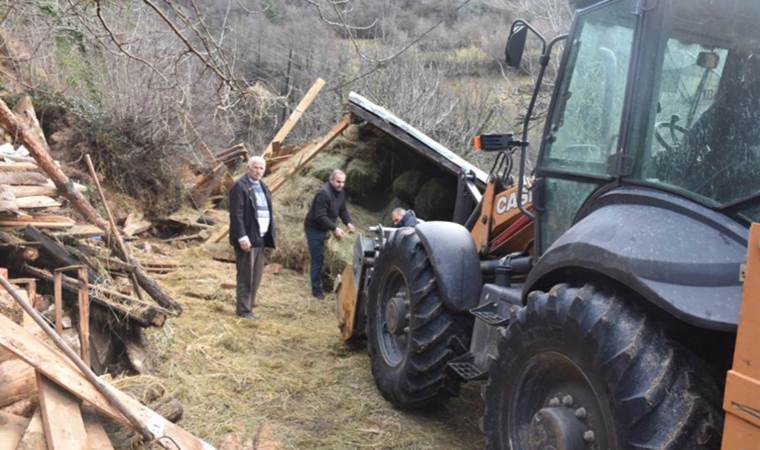 Artvin'de heyelan: Ahır çöktü 2 büyükbaş öldü