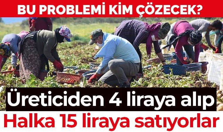 CHP'li Gürer TBMM'de konuştu: Patates üretiminde süreç doğru yönetilmezse...