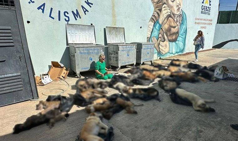 'Katliam yasası'nın yeni durağı Gebze...