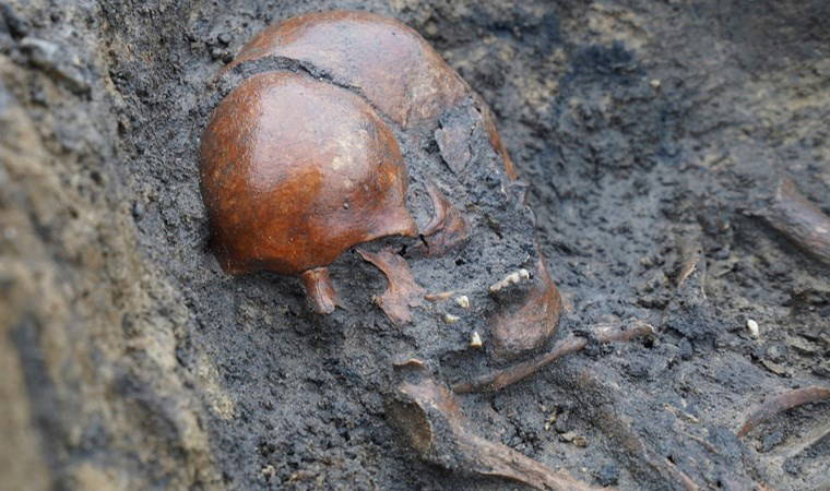 Vikingler dönemine ait 50 iskelet bulundu