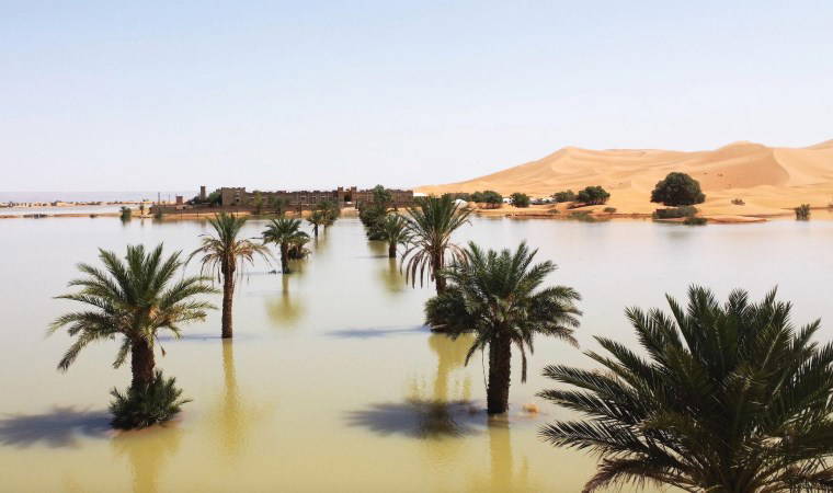 Fotoğraflarla: Sahra Çölü'nde 50 yıldan bu yana görülen ilk sel