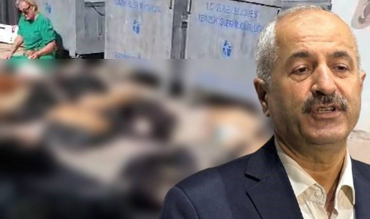 Hayvan katliamı ile anılan Belediye Başkanı hedef gösterdi