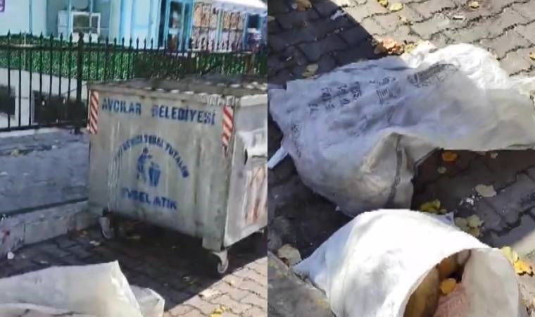 İstanbul'da vahşet... Çöpte bulunan köpekler boynu kırılarak öldürülmüş!