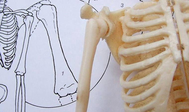 Kemik erimesi riskini azaltıyor, kemiklerdeki yorgunluğu alıyor: Kemik sağlığına iyi gelen 7 vitamin